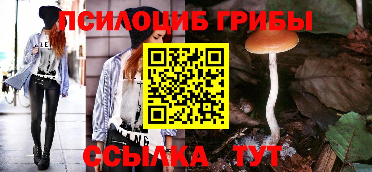 Галлюциногенные грибы MAGIC MUSHROOMS  где купить наркоту  Кстово  Галлюциногенные грибы мицелий  Вход с VPN 
